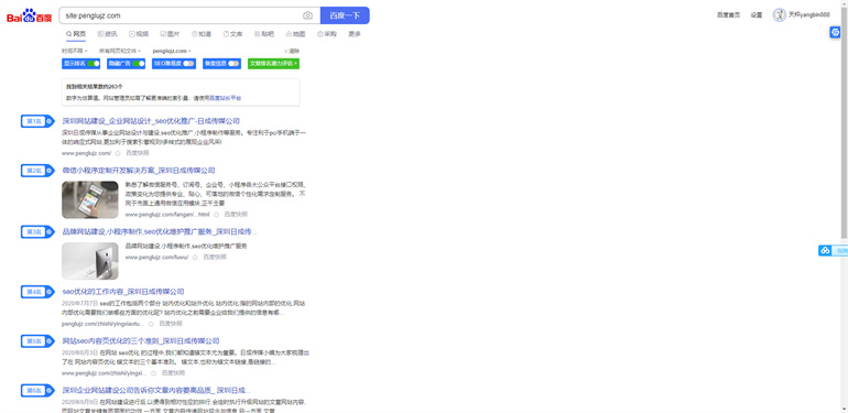 seo优化的工作内容(图1)